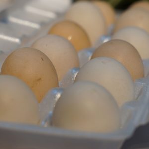 Free Range Eggs with Natural Feeds (1 Dozen)